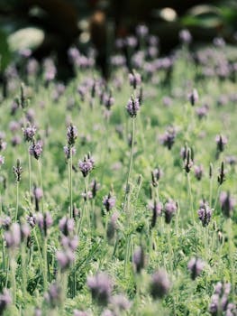 沙特阿美将页岩气革命带到阿拉伯沙漠