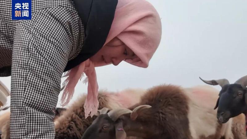 新春走基层丨下山借牧还交上了朋友 这趟“冬牧”值了 新闻