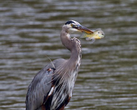 (经济观察)税费政策支持中国经济向“绿”发展 新闻