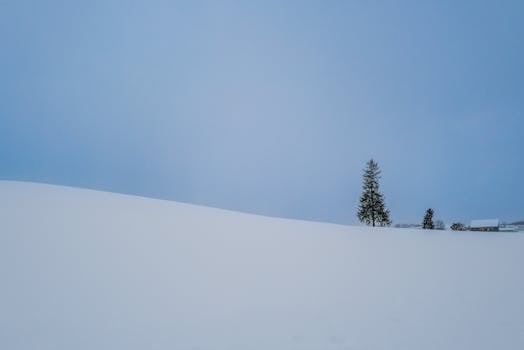 工业稳健前行，新动能加速汇聚；向新向绿转型明显；现代化体系建设再发力。 IT技术