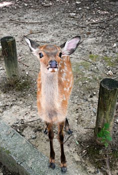  五位部长直面热点；校园安全养老网络就业新机；民生领域释放积极信号。 新闻 五位部长直面热点；校园安全养老网络就业新机；民生领域释放积极信号。 新闻 五位部长直面热点；校园安全养老网络就业新机；民生领域释放积极信号。 新闻 五位部长直面热点；校园安全养老网络就业新机；民生领域释放积极信号。 新闻