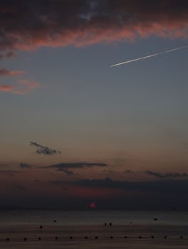  河岸低桥旁，鱼护沉浮间；失意藏不住，坚持却可见。 情感心理