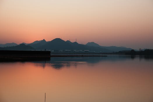 深圳湾公园拒绝亮灯；为候鸟守护暗夜，这份温柔值得深思。