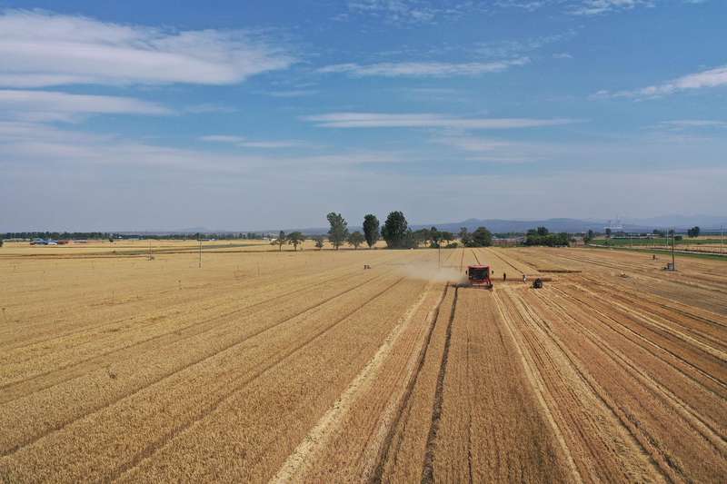  一粒种子承载国之重任；代表互赠，种业协同破冰前行。 新闻