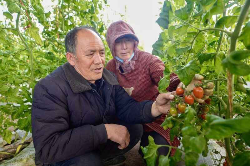  六盘山下大地新生；三本账见证暖心巨变。 文化旅游