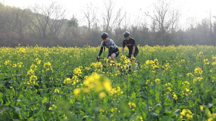  春假客流争夺战升级，景区如何瓜分“泼天流量”？ 新闻