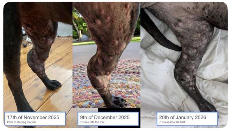  免疫防线的精细化重塑：从单一覆盖到多元动态调整——十五五规划下的疫苗接种新格局 新闻 免疫防线的精细化重塑：从单一覆盖到多元动态调整——十五五规划下的疫苗接种新格局 新闻