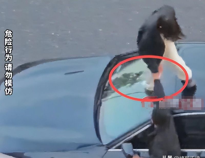  为何剐蹭会演变为刑事案件？从社会学视角拆解婚姻冲突的连锁效应 新闻 为何剐蹭会演变为刑事案件？从社会学视角拆解婚姻冲突的连锁效应 新闻