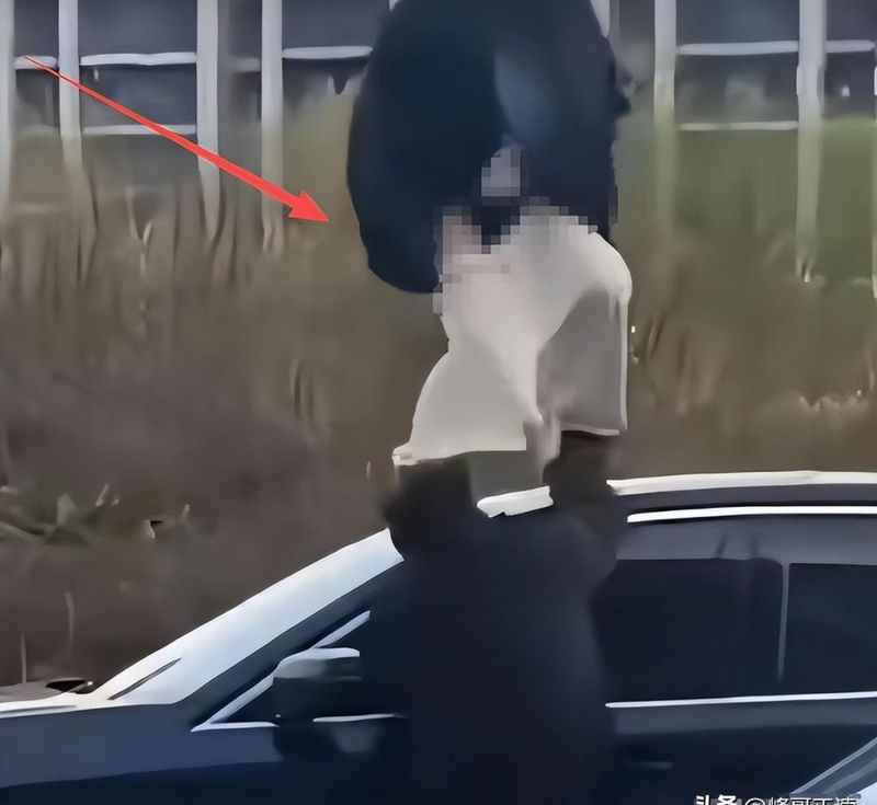  为何剐蹭会演变为刑事案件？从社会学视角拆解婚姻冲突的连锁效应 新闻 为何剐蹭会演变为刑事案件？从社会学视角拆解婚姻冲突的连锁效应 新闻