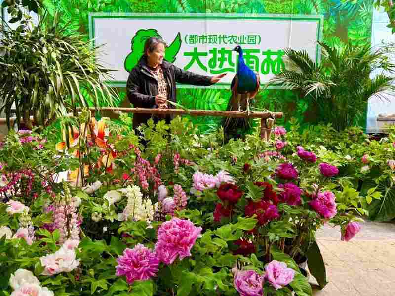  家门口的春日惊喜：呼市这个隐秘花园，让全家老小都找到了快乐 文化旅游