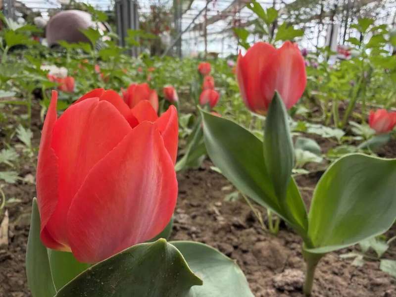  家门口的春日惊喜：呼市这个隐秘花园，让全家老小都找到了快乐 文化旅游