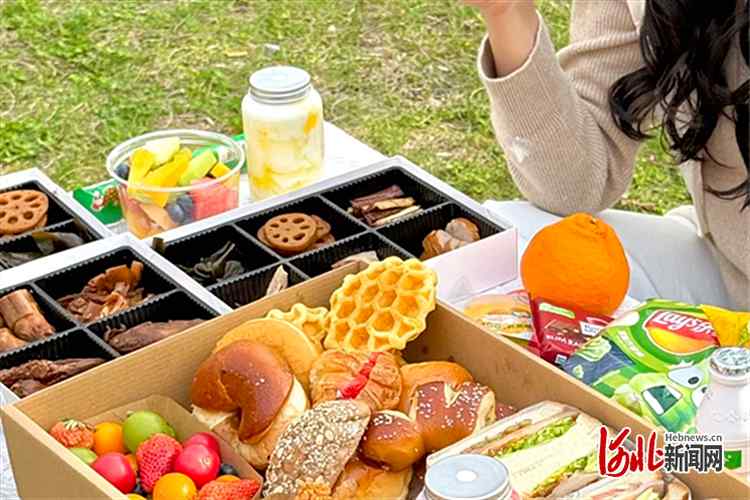  从厨房到营地：石家庄精致露营餐的供应链重构与产品逻辑深度拆解 新闻