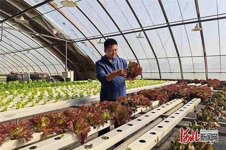  从厨房到营地：石家庄精致露营餐的供应链重构与产品逻辑深度拆解 新闻