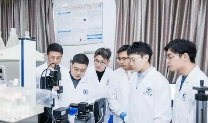  硅基量子计算里程碑：原子级精度芯片如何突破容错计算瓶颈 IT技术