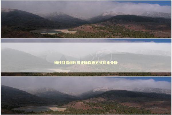 杨枝甘露爆炸与正确保存方式对比分析