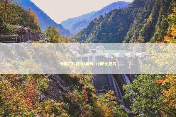 韩国芯片卖爆2月出口创历史新高 新闻