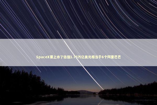 SpaceX要上市了估值1.75万亿美元相当于6个阿里巴巴