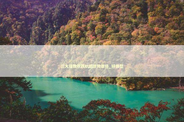 三大指数收跌航运逆势涨停_抒情型 新闻