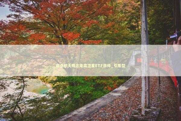 商业航天概念走高卫星ETF涨停_引用型