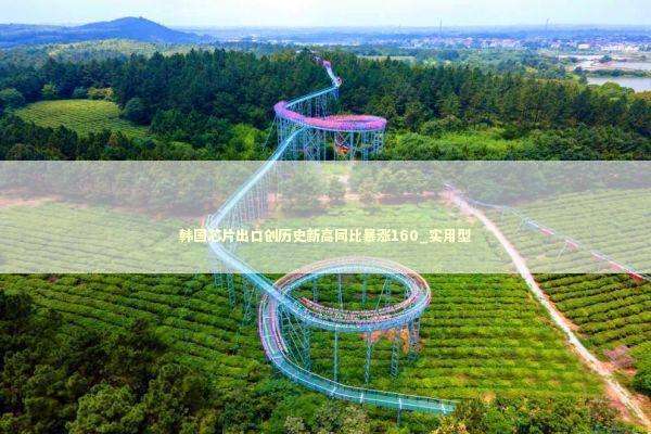 韩国芯片出口创历史新高同比暴涨160_实用型