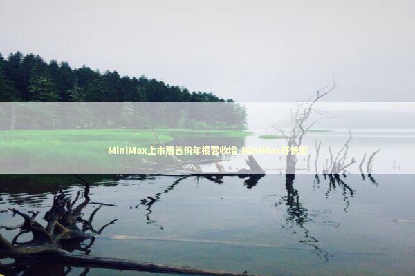 MiniMax上市后首份年报营收增-MiniMax抒情型