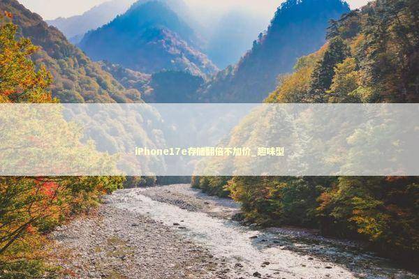iPhone17e存储翻倍不加价_趣味型