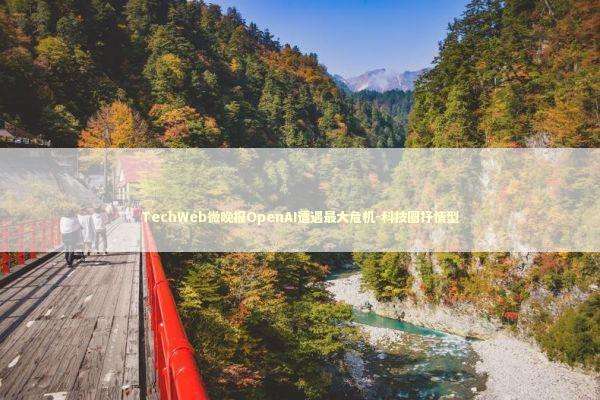 TechWeb微晚报OpenAI遭遇最大危机-科技圈抒情型 新闻
