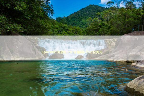 SpaceX计划递交IPO 估值超1.75万亿美元