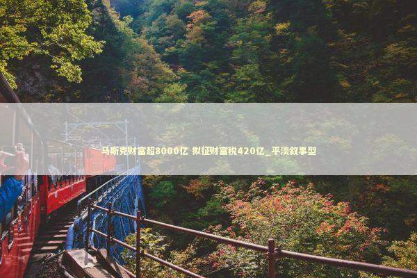马斯克财富超8000亿 拟征财富税420亿_平淡叙事型