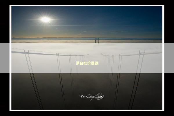 茅台批价暴跌 新闻