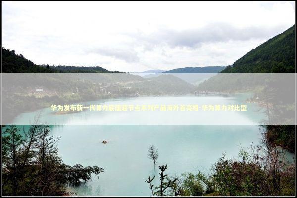 华为发布新一代算力底座超节点系列产品海外首亮相-华为算力对比型