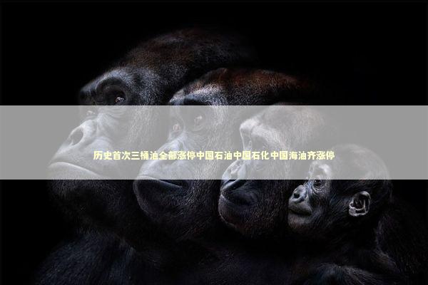 历史首次三桶油全部涨停中国石油中国石化中国海油齐涨停 新闻