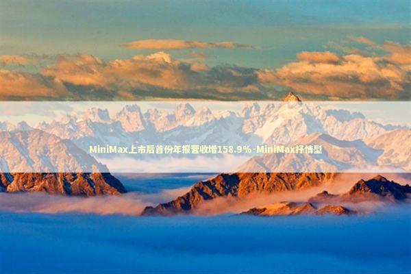 MiniMax上市后首份年报营收增158.9%-MiniMax抒情型