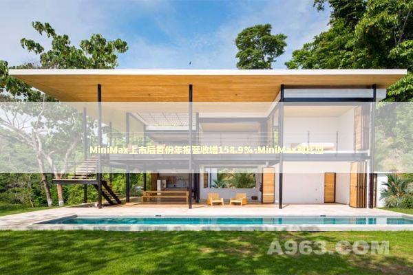 MiniMax上市后首份年报营收增158.9%-MiniMax对比型