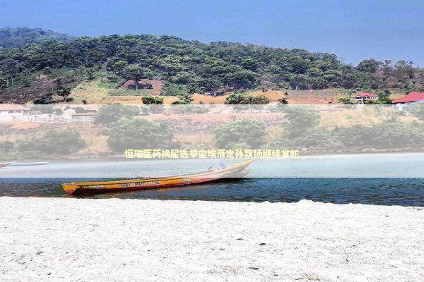 恒瑞医药换届选举尘埃落定孙飘扬继续掌舵