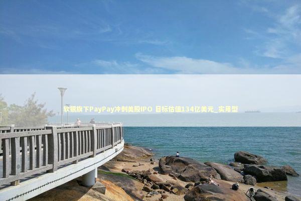 软银旗下PayPay冲刺美股IPO 目标估值134亿美元_实用型