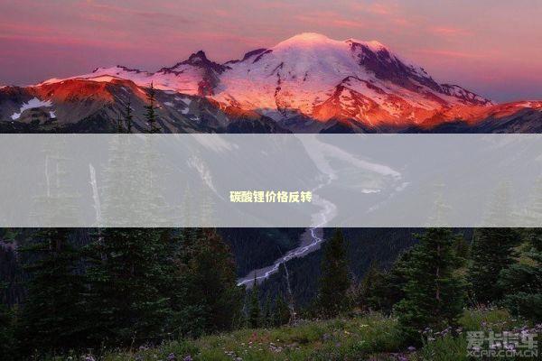 碳酸锂价格反转