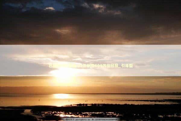 巴菲特时代落幕 61年创造609万倍回报_引用型