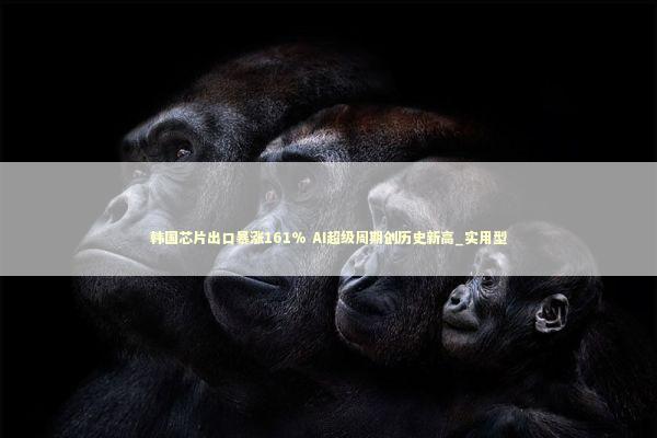 韩国芯片出口暴涨161% AI超级周期创历史新高_实用型