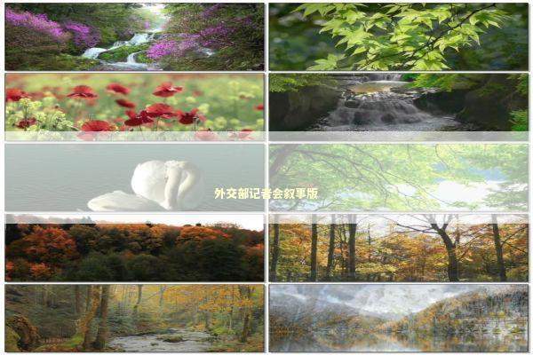 外交部记者会叙事版