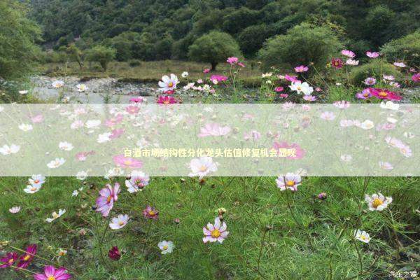 白酒市场结构性分化龙头估值修复机会显现 白酒市场结构性分化龙头估值修复机会显现 新闻