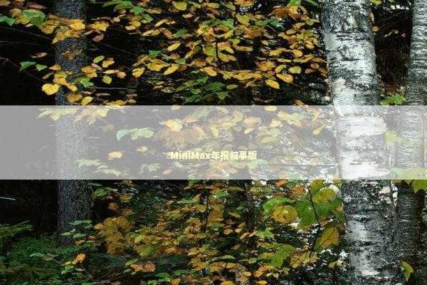 MiniMax年报叙事版