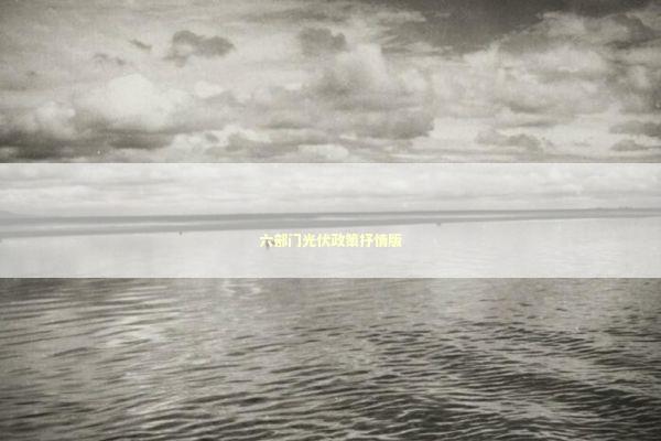 六部门光伏政策抒情版