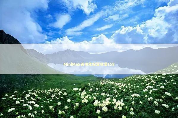 MiniMax首份年报营收增158 新闻