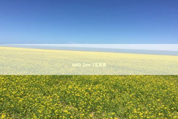 AMD Zen 7实用版