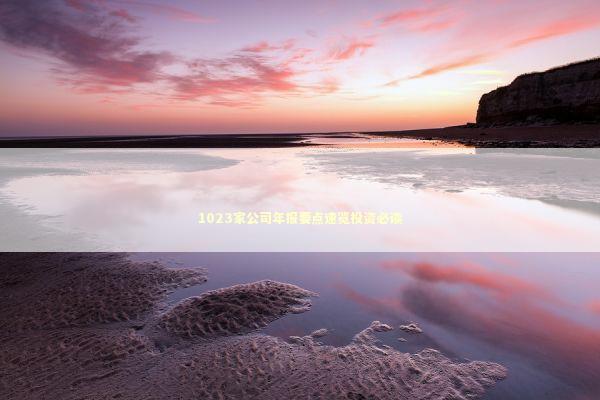 1023家公司年报要点速览投资必读