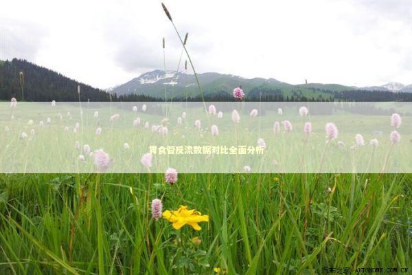 胃食管反流数据对比全面分析