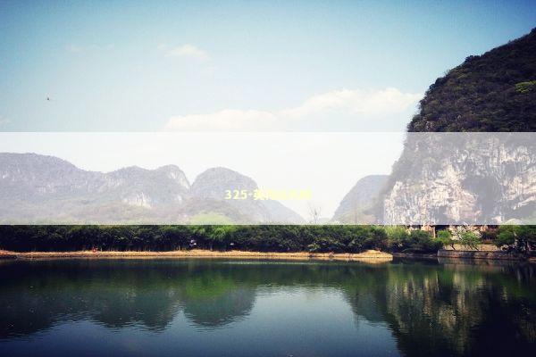 325-英伟达大跌 新闻