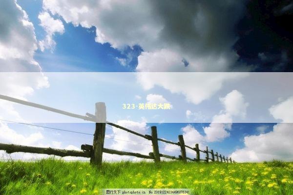 323-英伟达大跌 323-英伟达大跌 新闻