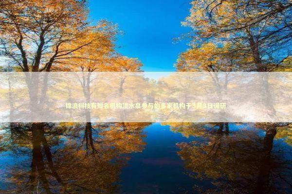 锦浪科技有知名机构淡水泉参与的多家机构于3月3日调研